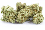 Black Label Kush