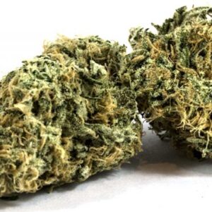 Zombie Kush