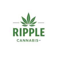 Cannabis Shop Dispensary